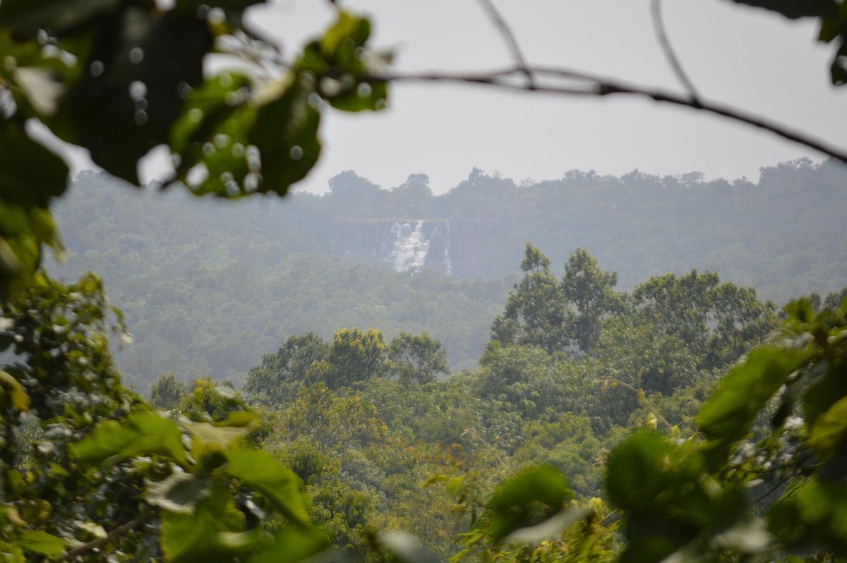Forested hills and valley inside Kanger Valley National Park